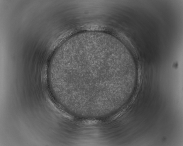 X0000115260202200912111148