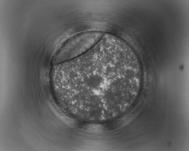 X0000115260203200912111148