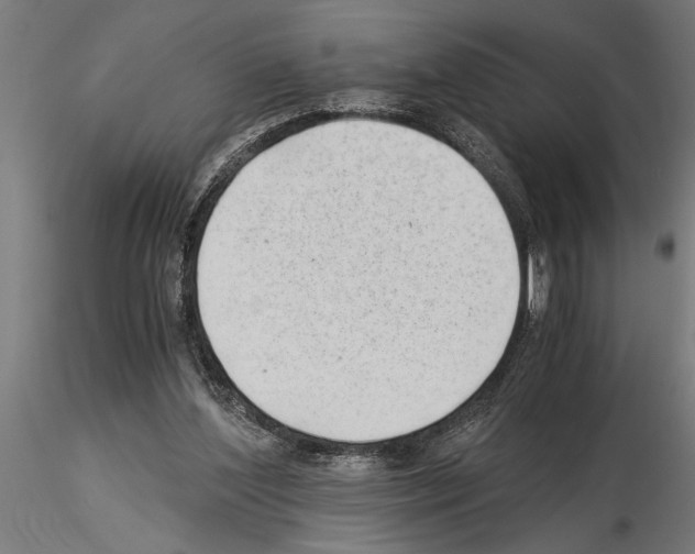 X0000115260204200912111148