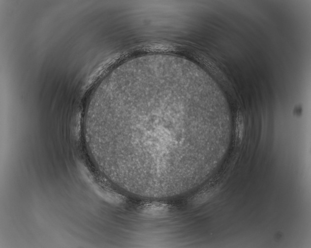 X0000115260206200912111148