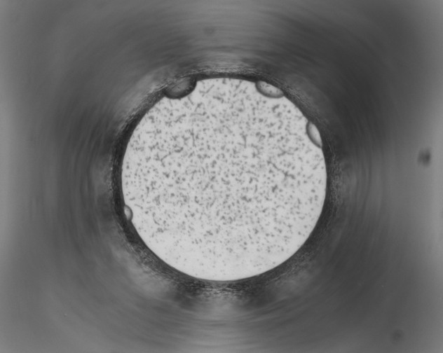 X0000115260207200912111148