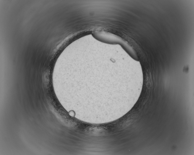 X0000115260208200912111148