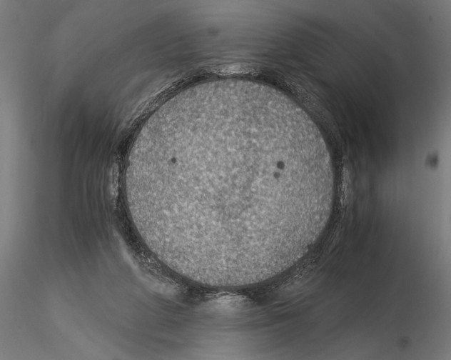 X0000115260210200912111148