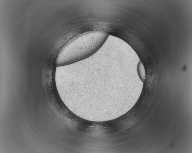 X0000115260211200912111148