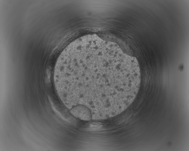 X0000115260214200912111147