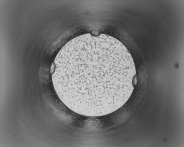 X0000115260215200912111147