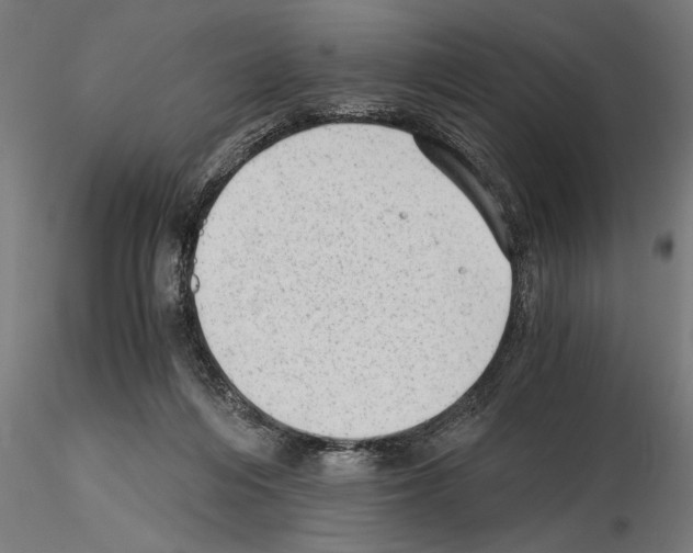 X0000115260216200912111147