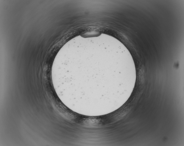 X0000115260217200912111147