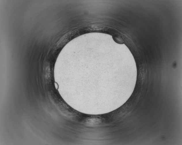 X0000115260220200912111147