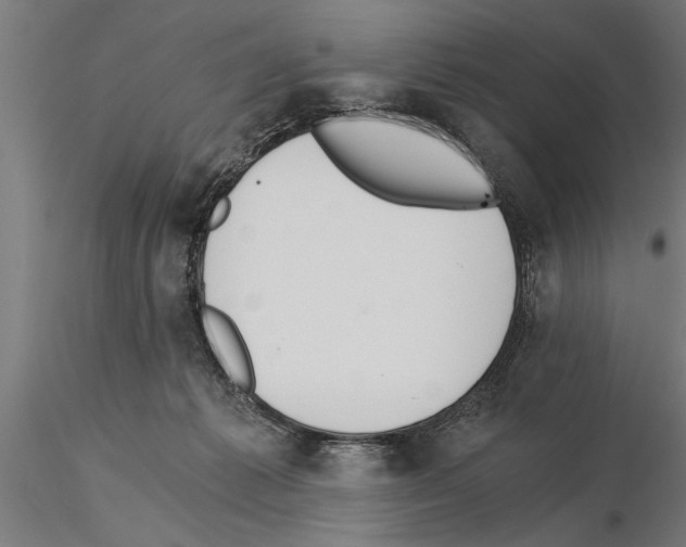 X0000115260221200912111147