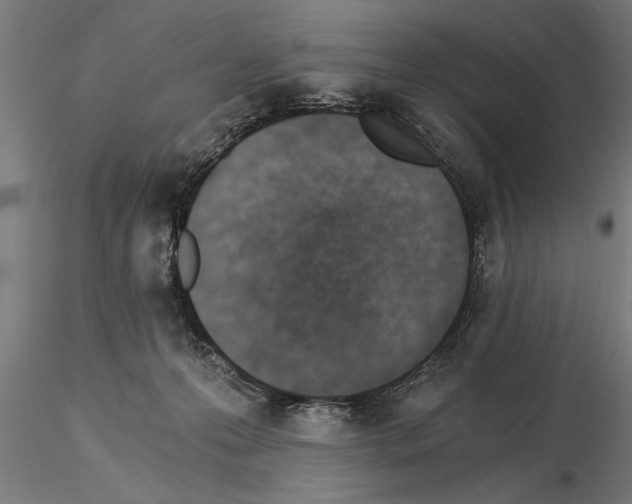 X0000115260223200912111147