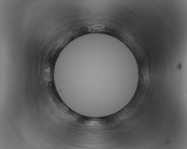 X0000115260224200912111147