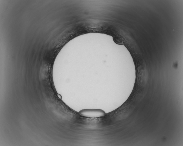 X0000115260225200912111147