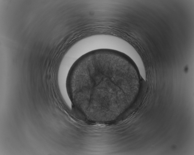 X0000115260227200912111147