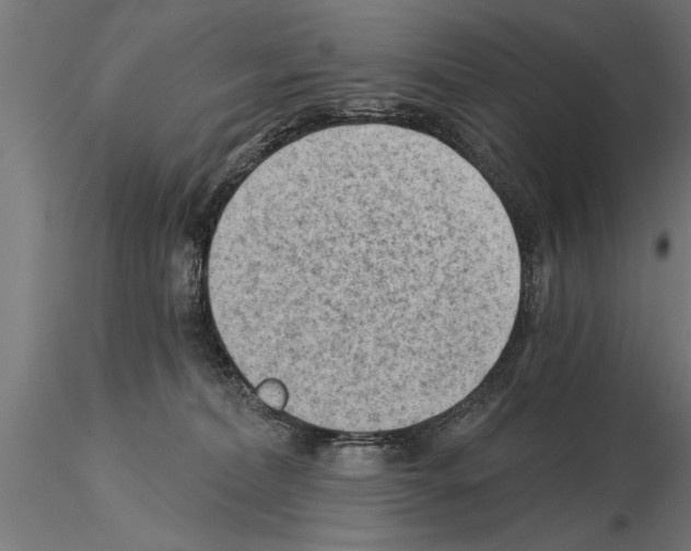 X0000115260228200912111147