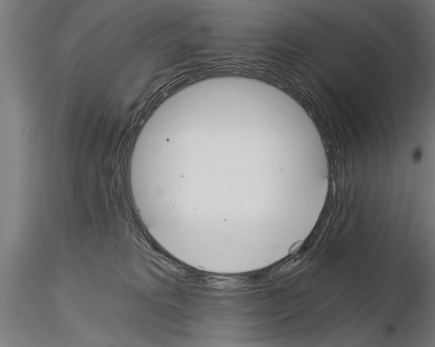 X0000115260229200912111147