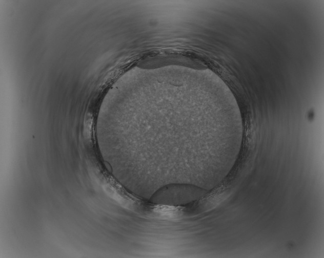 X0000115260231200912111147