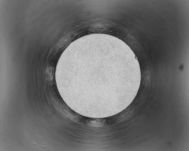 X0000115260232200912111147