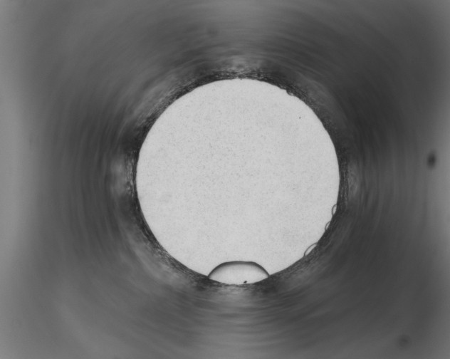 X0000115260236200912111147