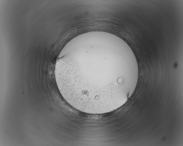 X0000115260237200912111147