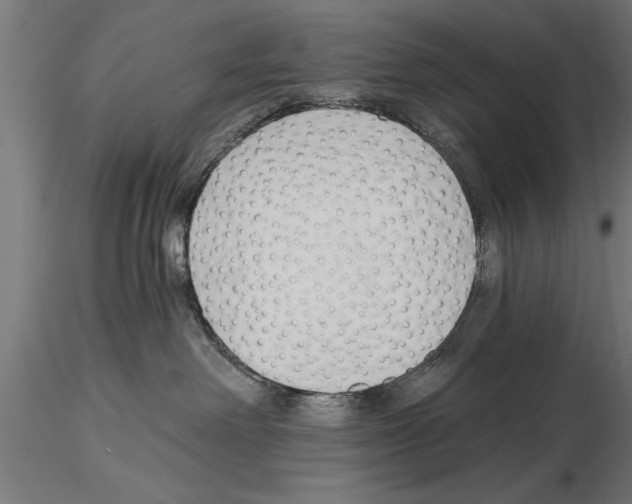 X0000115260238200912111147