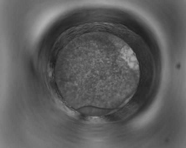 X0000115260239200912111147