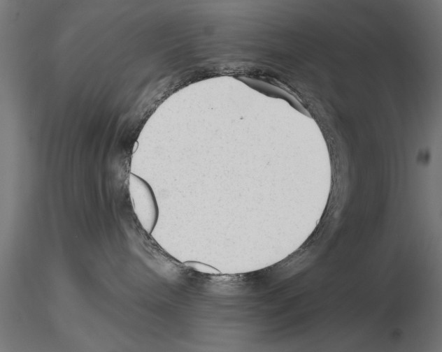 X0000115260240200912111147