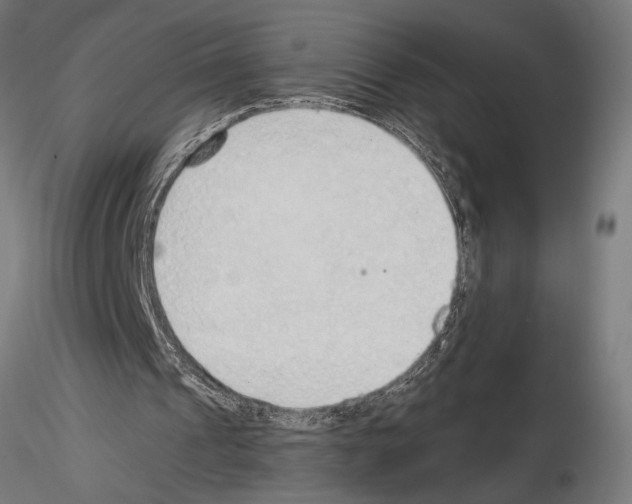 X0000115260241200912111146