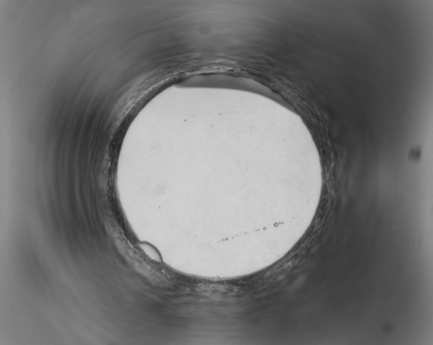 X0000115260242200912111146