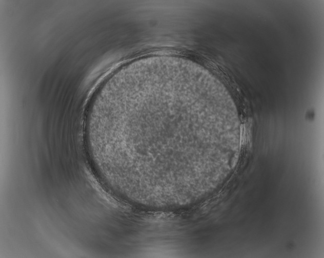 X0000115260243200912111146