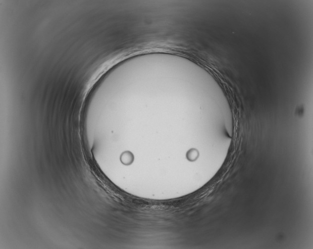 X0000115260244200912111146