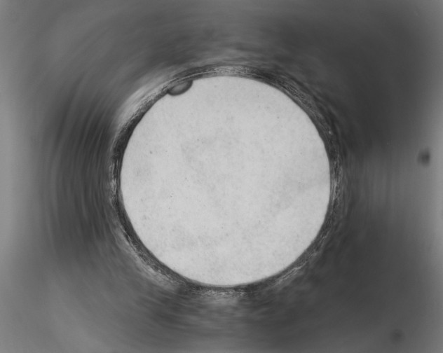 X0000115260245200912111146