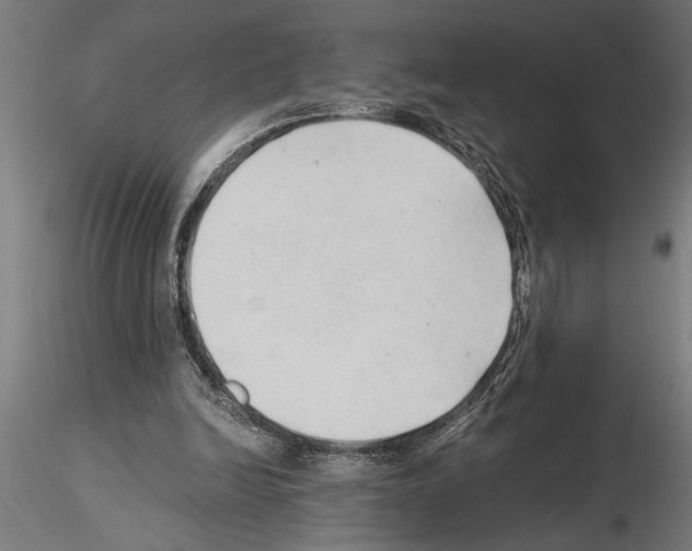 X0000115260246200912111147