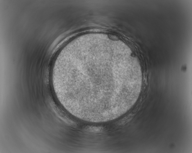 X0000115260247200912111147