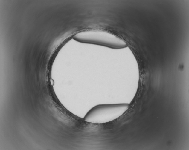 X0000115260248200912111147