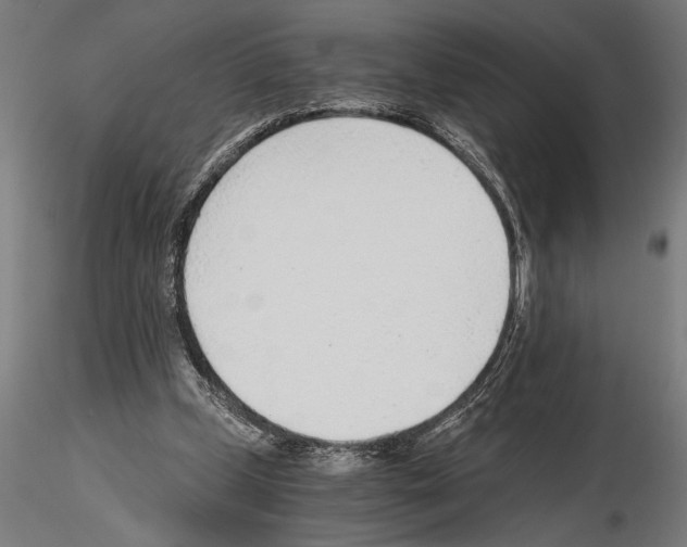 X0000115260249200912111147