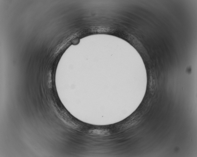 X0000115260251200912111147