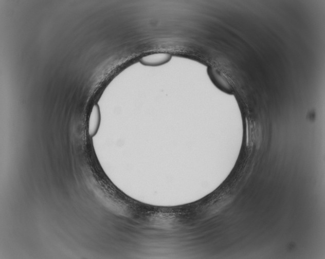 X0000115260252200912111147