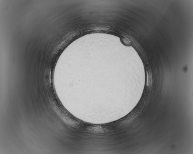 X0000115260253200912111147