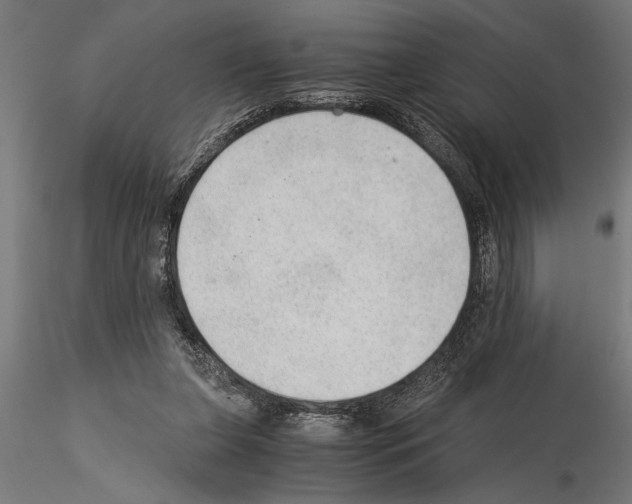 X0000115260255200912111147