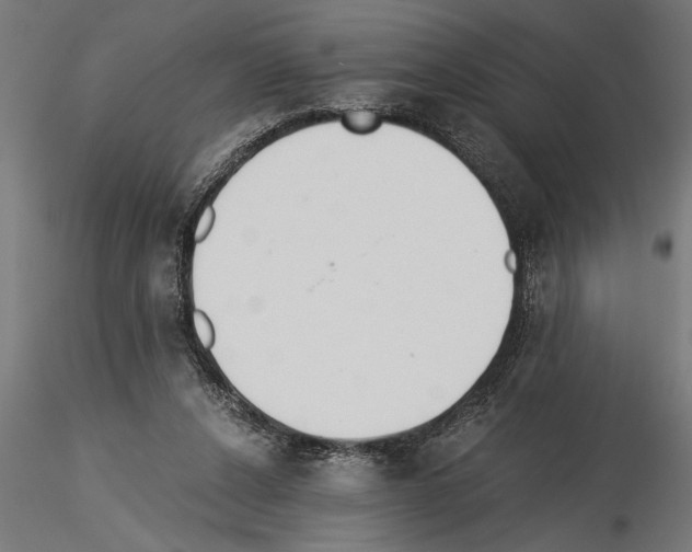 X0000115260256200912111147