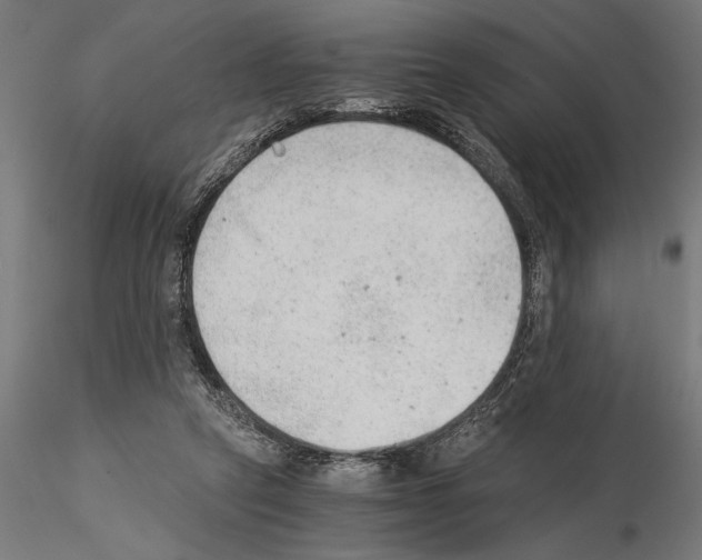 X0000115260257200912111147