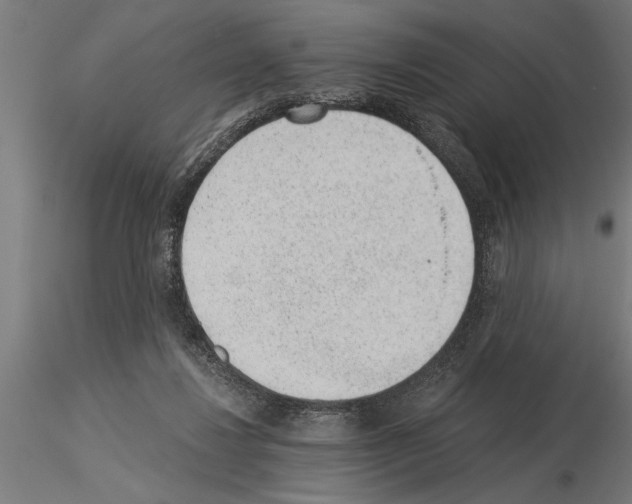 X0000115260260200912111147