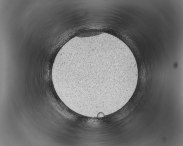 X0000115260261200912111147