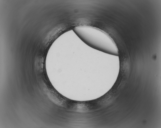 X0000115260264200912111147