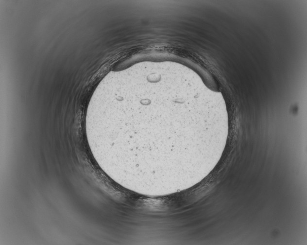 X0000115260265200912111147