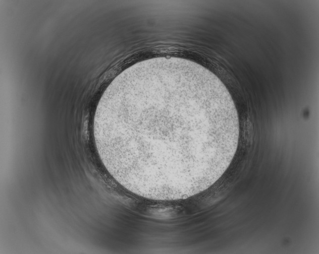 X0000115260267200912111147