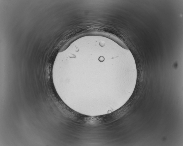 X0000115260273200912111147