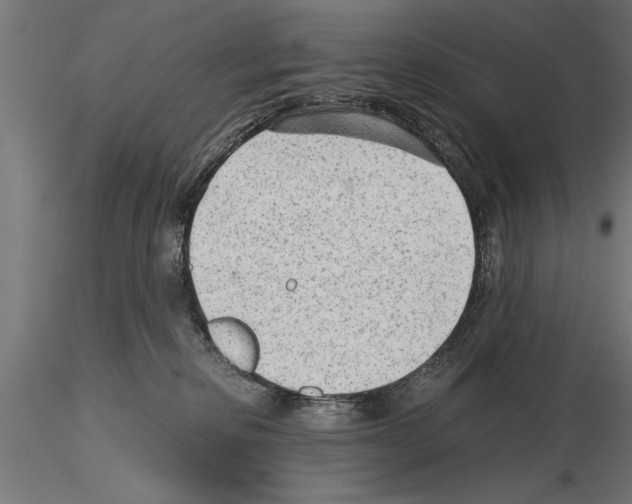 X0000115260278200912111147