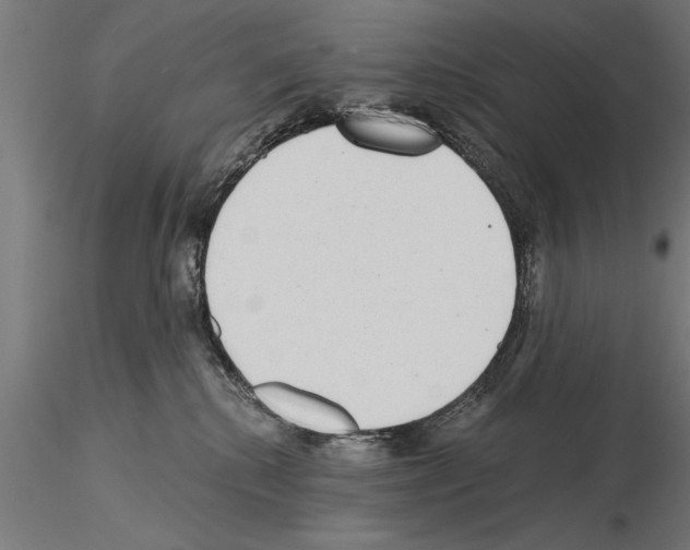 X0000115260280200912111147